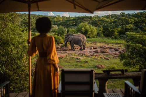 LANDSCAPE ELEPHANTS IN THE CAMP
