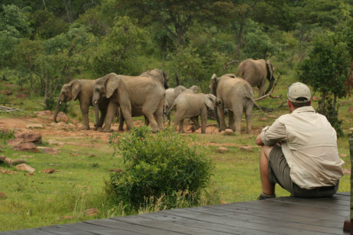 WATCHING ELEPHANTS FROM INDABA LOUNGE