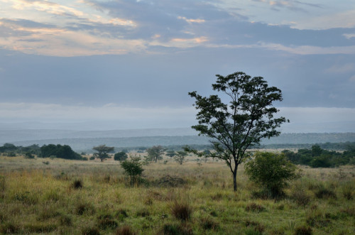 MAKWETI WINTER LANDSCAPE (2)